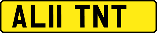 AL11TNT