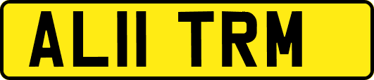 AL11TRM