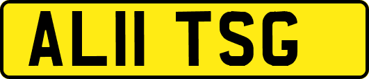 AL11TSG
