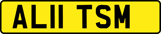 AL11TSM