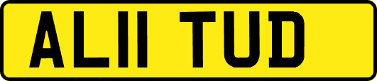 AL11TUD