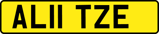 AL11TZE