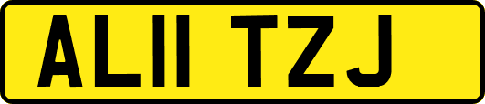 AL11TZJ