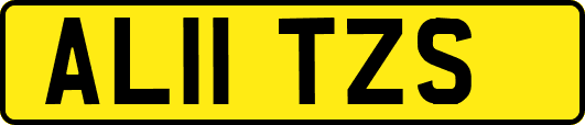 AL11TZS
