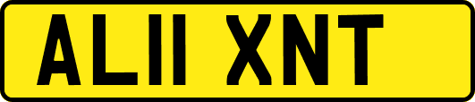AL11XNT