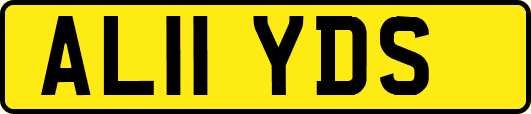 AL11YDS