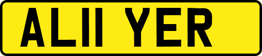 AL11YER