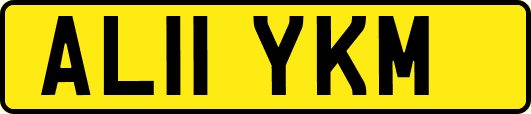 AL11YKM