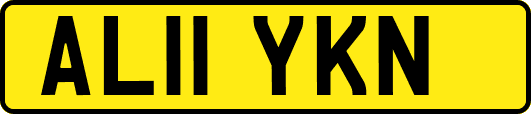 AL11YKN