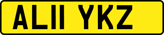 AL11YKZ
