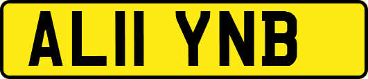AL11YNB