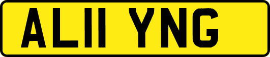 AL11YNG