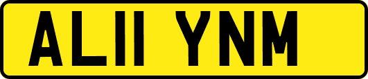 AL11YNM