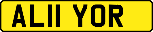 AL11YOR