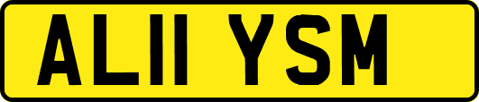 AL11YSM