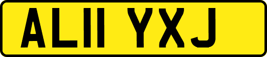 AL11YXJ