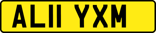 AL11YXM