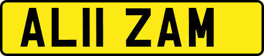 AL11ZAM