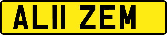 AL11ZEM