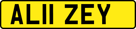 AL11ZEY