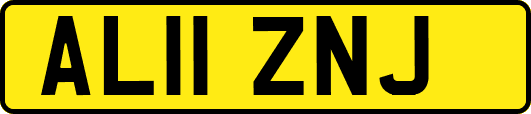 AL11ZNJ