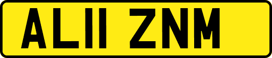 AL11ZNM