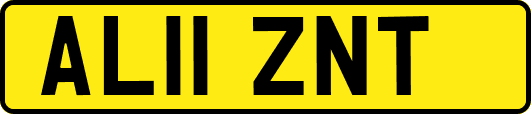 AL11ZNT