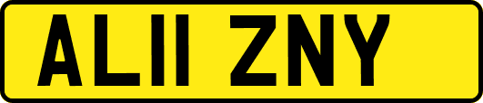 AL11ZNY