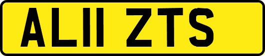 AL11ZTS