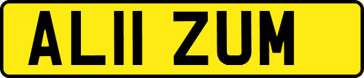 AL11ZUM