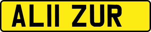 AL11ZUR