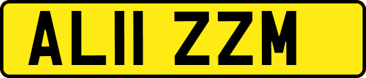 AL11ZZM