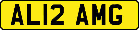AL12AMG