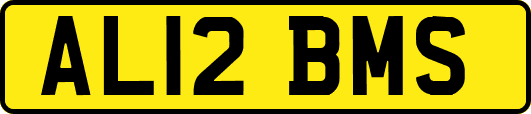 AL12BMS