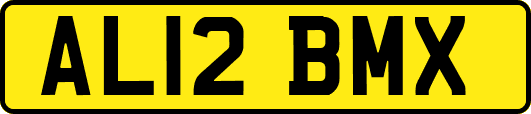 AL12BMX