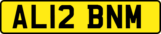 AL12BNM