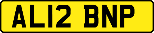 AL12BNP
