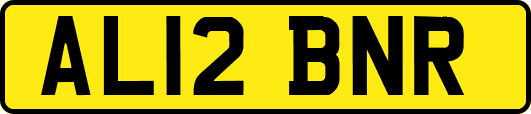 AL12BNR