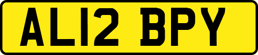 AL12BPY