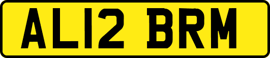 AL12BRM