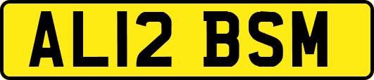 AL12BSM