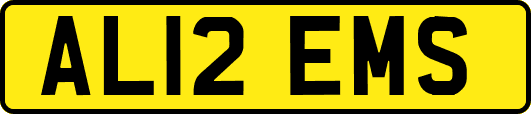 AL12EMS