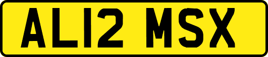 AL12MSX