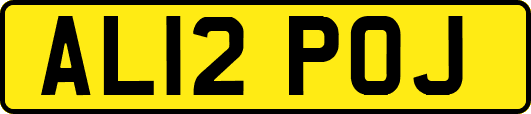 AL12POJ