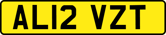 AL12VZT