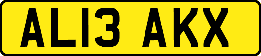 AL13AKX