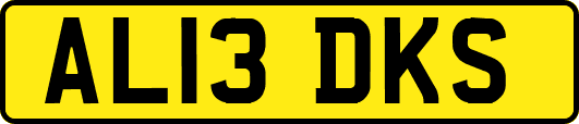 AL13DKS