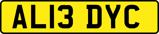 AL13DYC