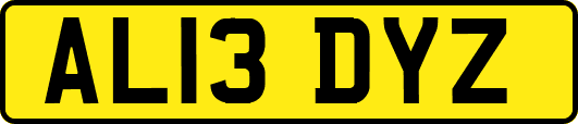 AL13DYZ