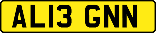 AL13GNN